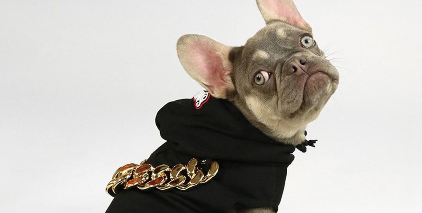 Snoop Dogg lanza línea de accesorios para mascotas